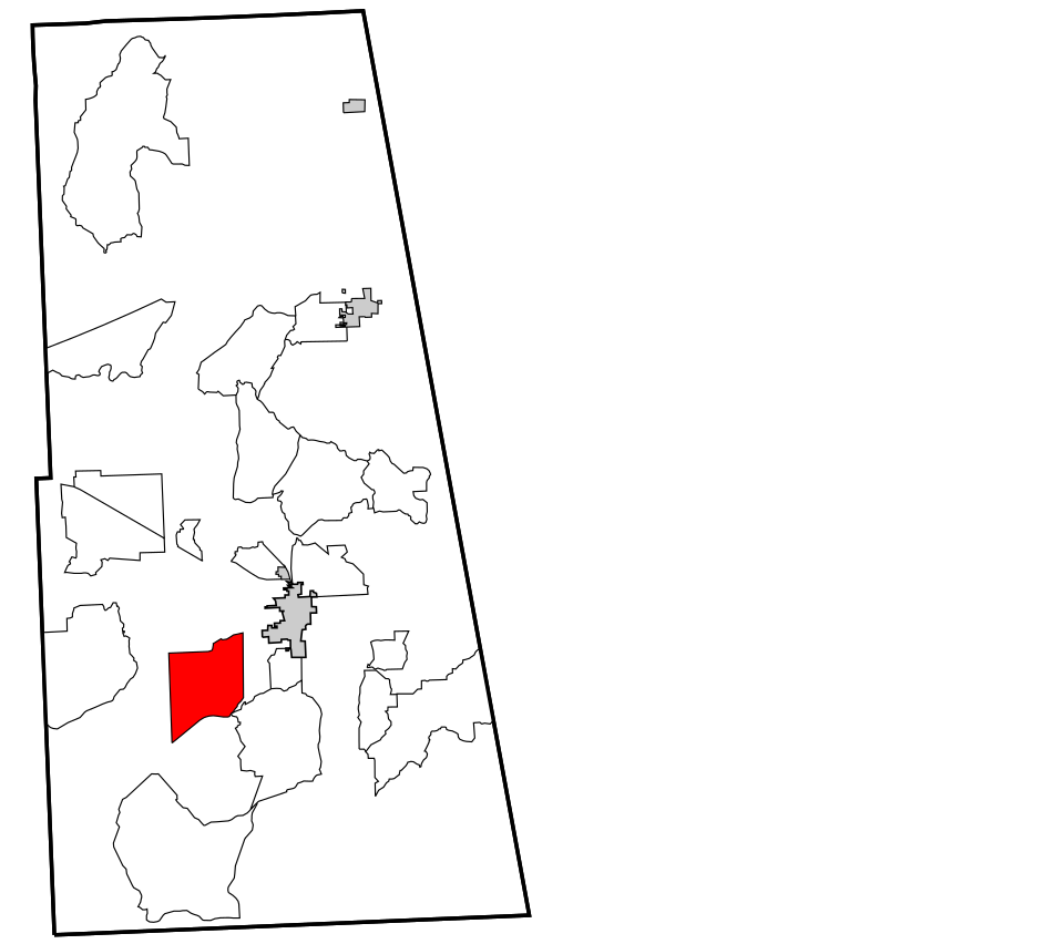 Lyons Switch Authority