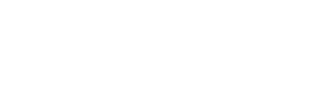Springer Authority