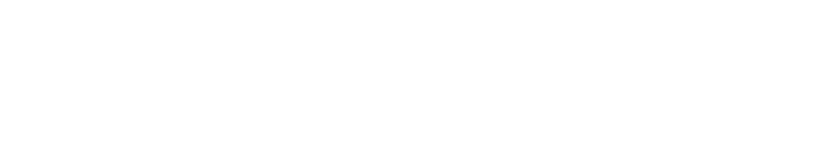 Steely Hollow Authority