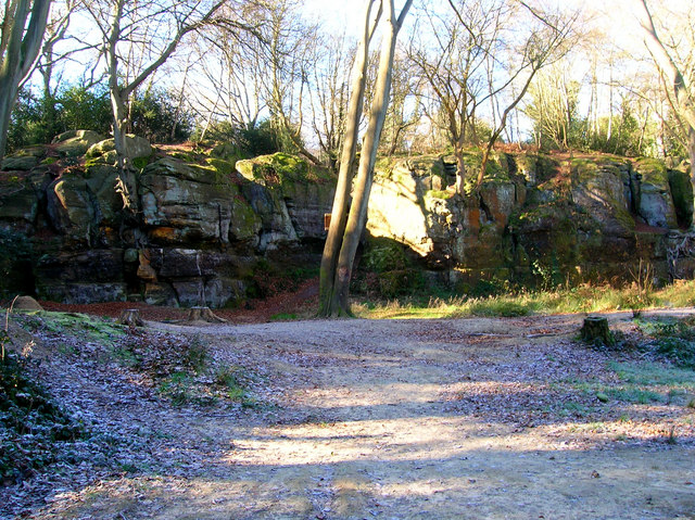 Bull Hollow Authority