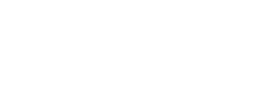 Snyder Authority