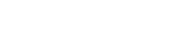 The Village Authority