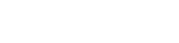 Badger Lee Authority